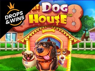 The Dog House